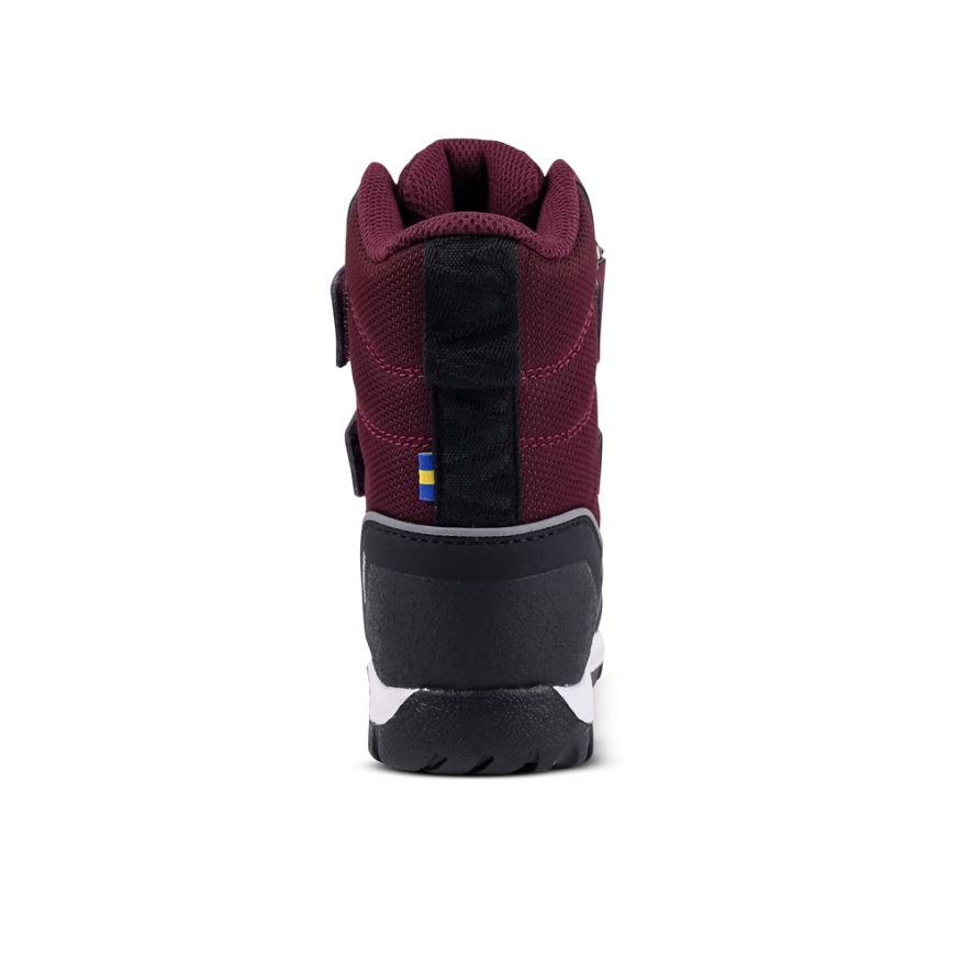 Loberg WP Fig