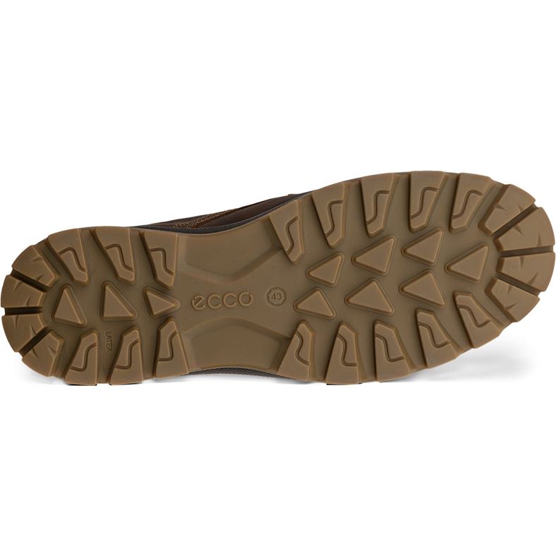 Rugged Track WP