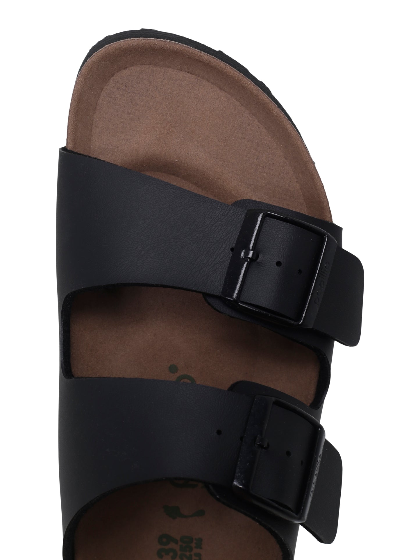 Papillio Arizona Grooved