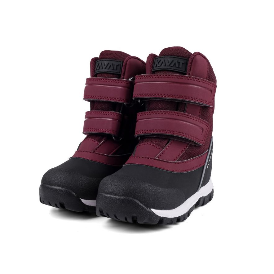 Loberg WP Fig