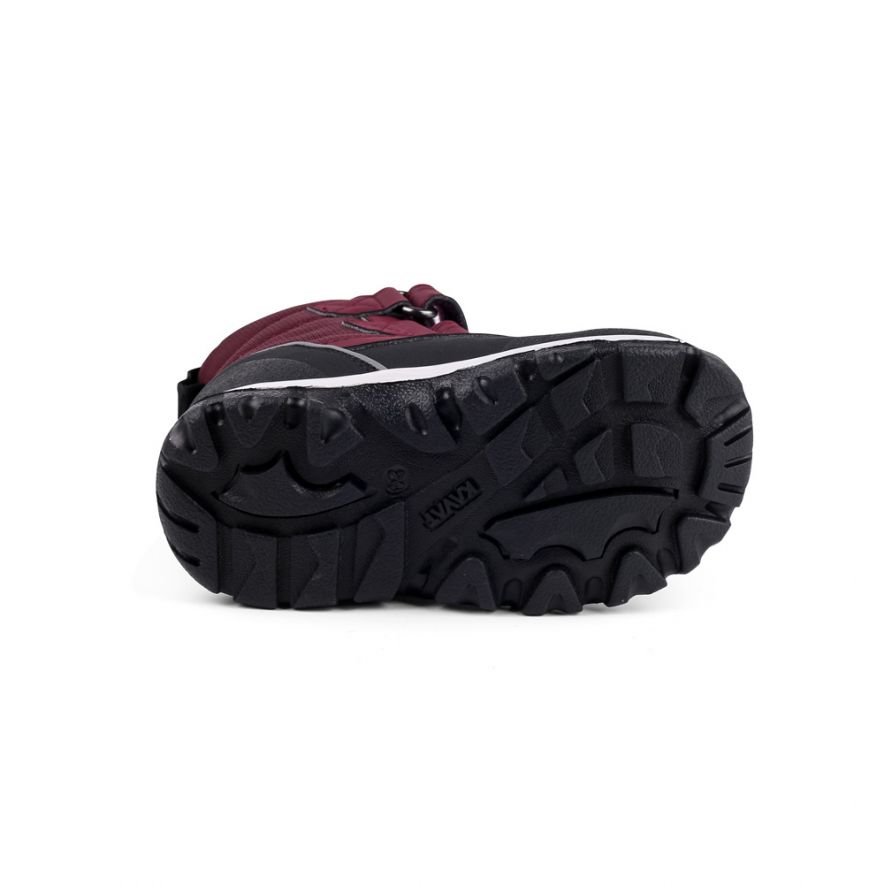 Loberg WP Fig