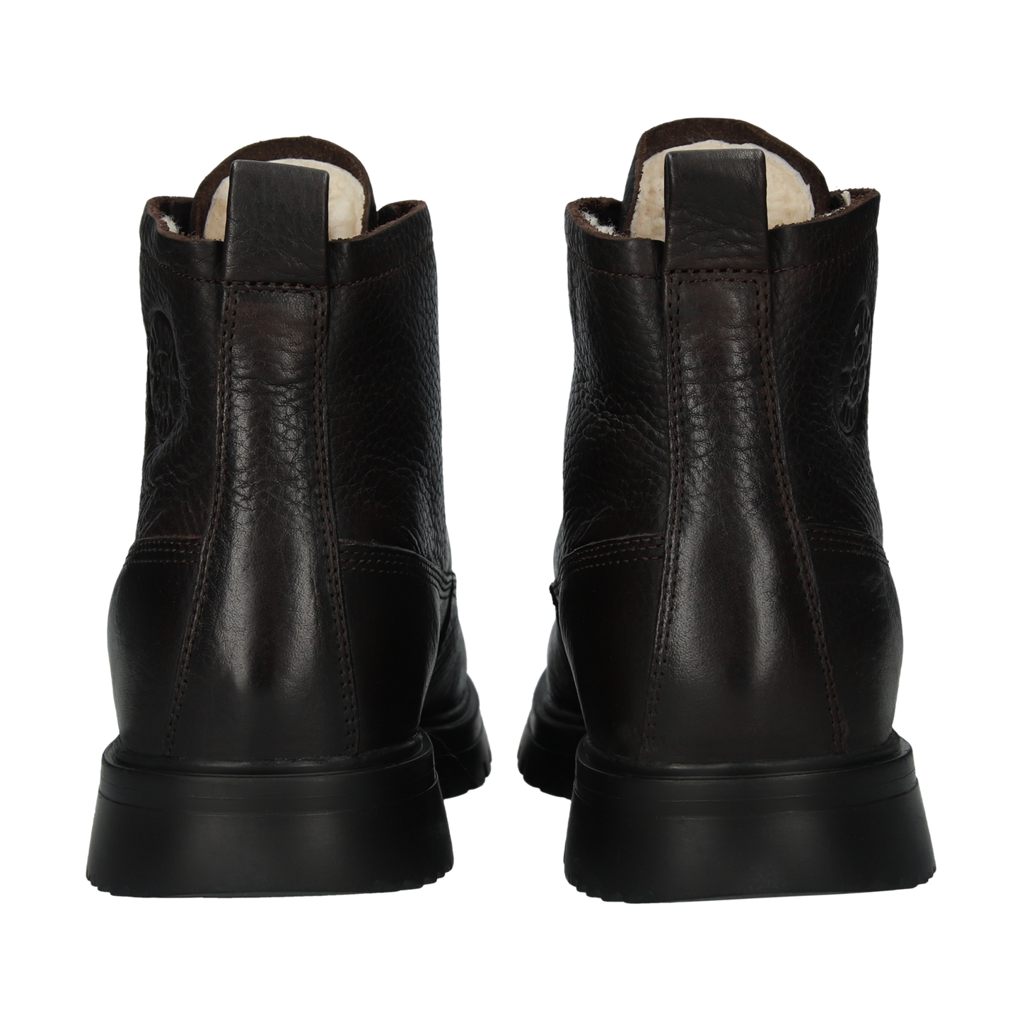 CG030 Oinecone BN 2150