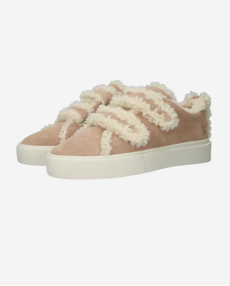 Sesame BN 521
