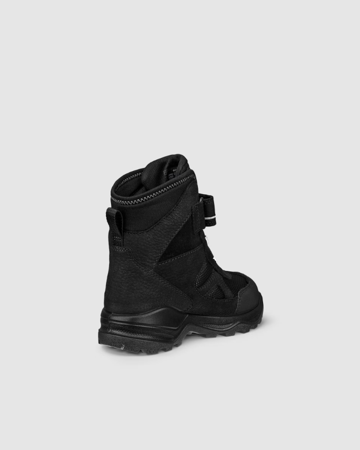 Snow Mountain BN 559