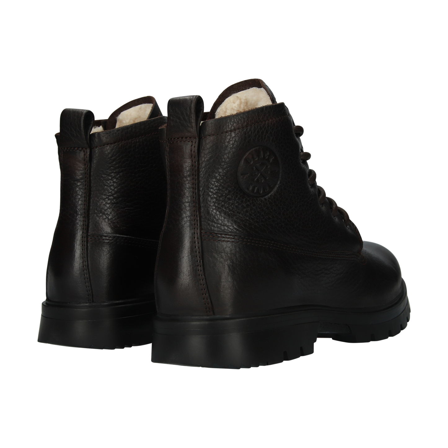 CG030 Oinecone BN 2150