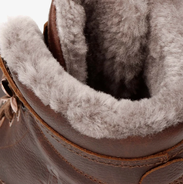 Aviator Igloo C13