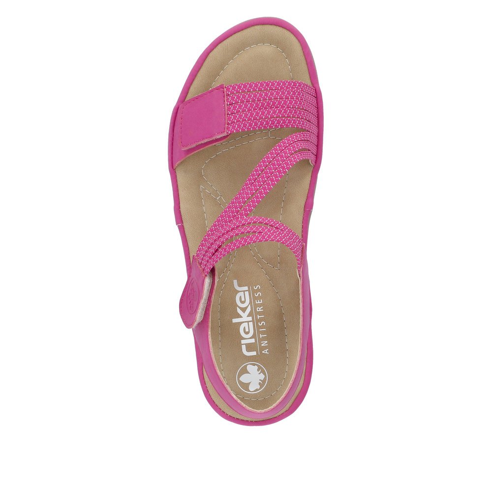 Pink BN 447