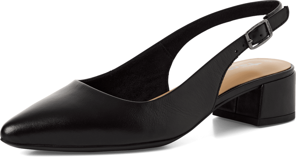 Black BN 66